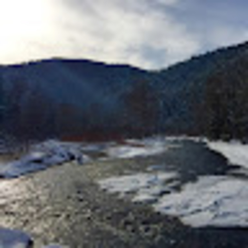 Meet your Posher, Martin